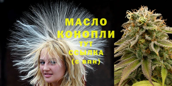 индика Балабаново