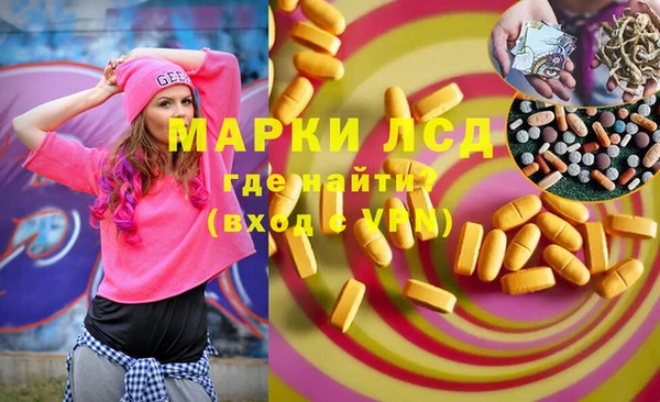 индика Балабаново