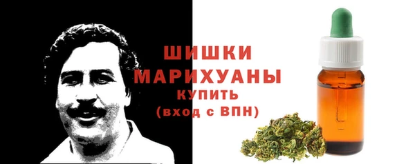 индика Балабаново