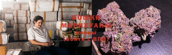 индика Балабаново